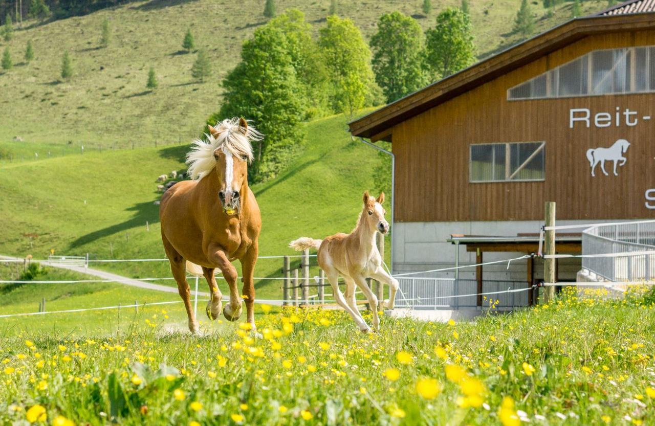 Hotel Schörhof Saalfelden Exteriör bild